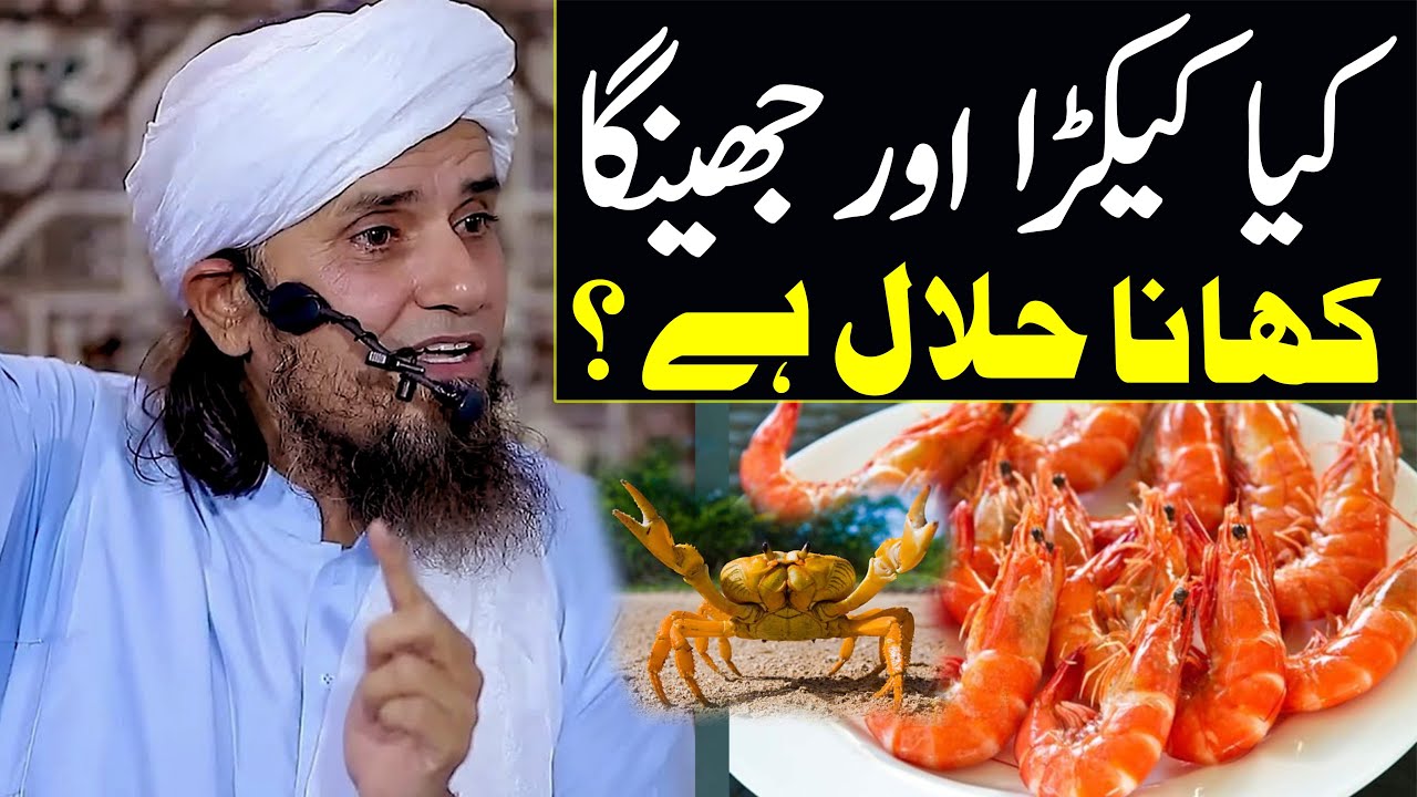 jinga machi aur kekra khana halal hai ? | Mufti Tariq Masood Special | Hala aur haram bayan 2022